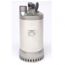 Goulds 1DW Series