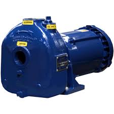 Model 02D3-X2-1P AMT Repair Parts @ PumpProducts.com