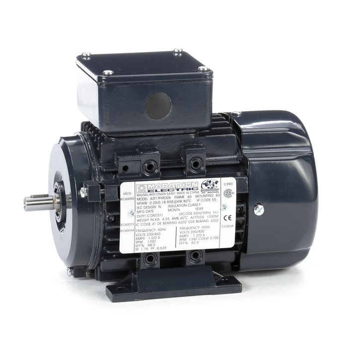IEC Frame Motors
