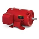 Fire Pump Motors