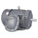 Explosion Proof Motors