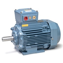 Explosion Atmosphere Motor