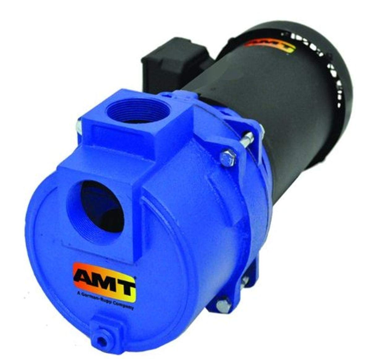 Model 316A-95 AMT Repair Parts @ PumpProducts.com