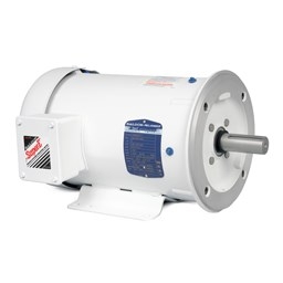 Washdown Duty Motors
