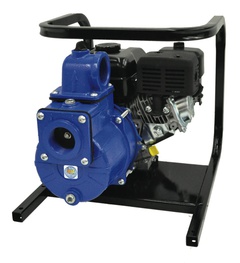 Model 2G5XZCR AMT Repair Parts @ PumpProducts.com