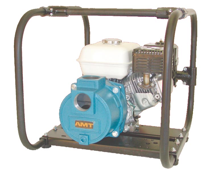 Model 316F-99 AMT Repair Parts @ PumpProducts.com