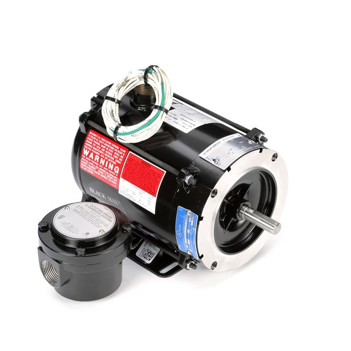 Vector (Inverter) Duty Motor