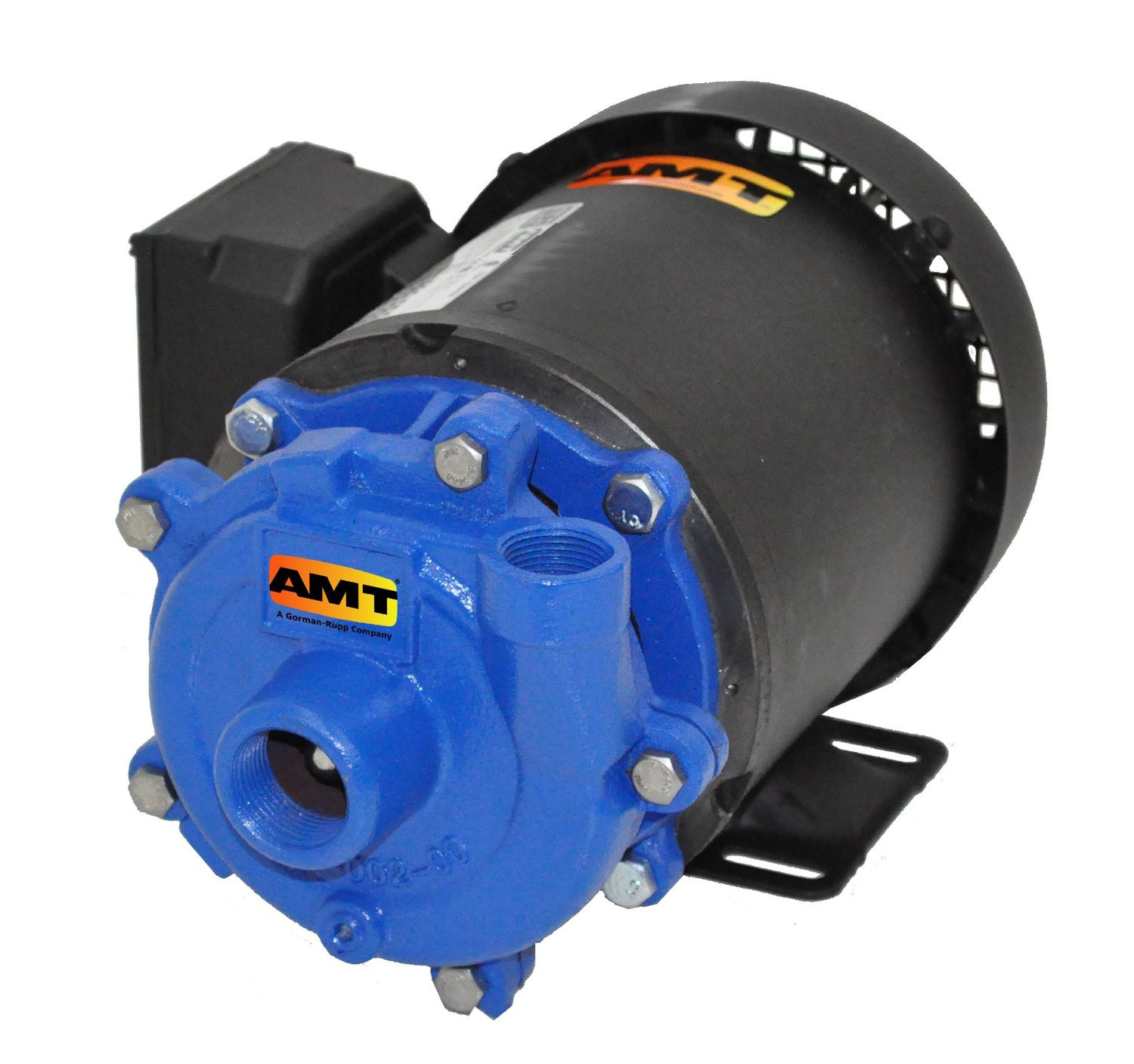 Model 369F-95 AMT Repair Parts @ PumpProducts.com