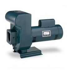 D High Head Series Sta-Rite Pumps For Sale @ PumpProducts.com