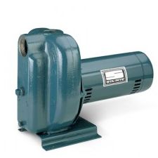 DS2 Series Sta-Rite Pumps For Sale @ PumpProducts.com