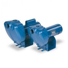 DS3 PRO-Storm Series Sta-Rite Pumps For Sale @ PumpProducts.com