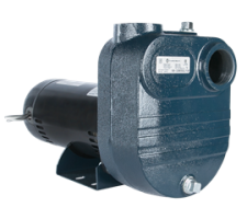 FBSE Series Pump & Motors