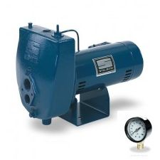 HL Series Sta-Rite Pumps For Sale @ PumpProducts.com