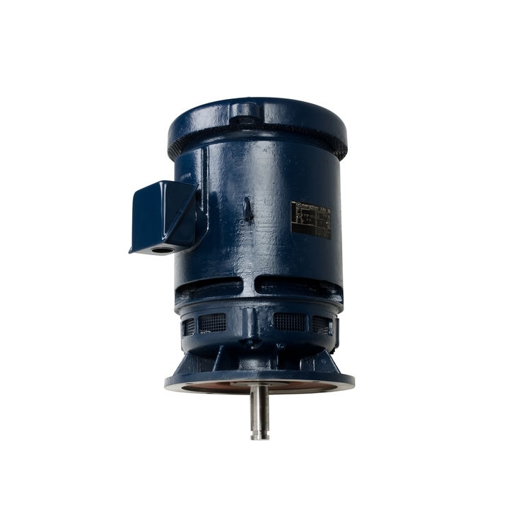 Pump Motors