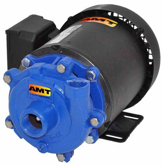 Model 369B-95 AMT Repair Parts @ PumpProducts.com