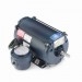 Explosion Proof Motors