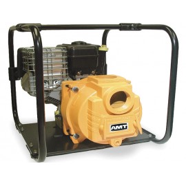 Model 25FP10YR AMT Repair Parts @ PumpProducts.com