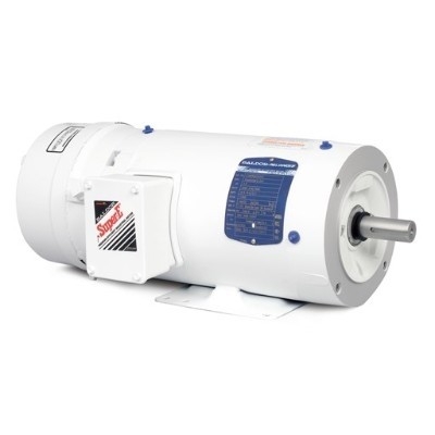 Brake Motors
