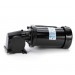 Right Angle Gearmotor Motor