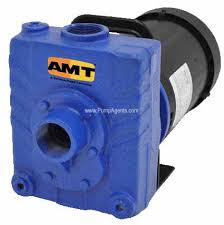 Model 2821-98 AMT Repair Parts @ PumpProducts.com