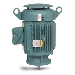  Vertical P-Base Motors