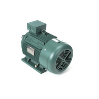 IEC Frame Motors