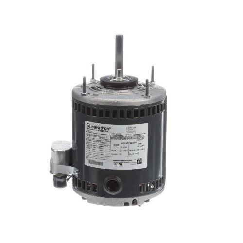 048A8O151_Marathon Motor 1