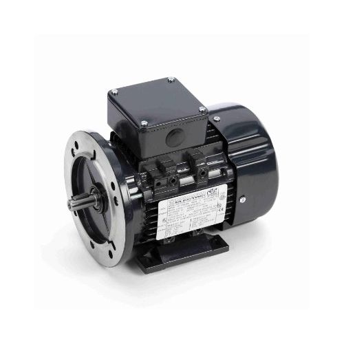 071T17FH5508_IEC General Purpose Motor 1