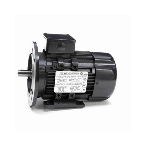 080T17FH15514_IEC General Purpose Motor 1
