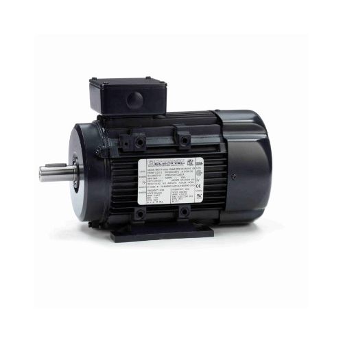 090LT17FH6326_IEC General Purpose Motor 1