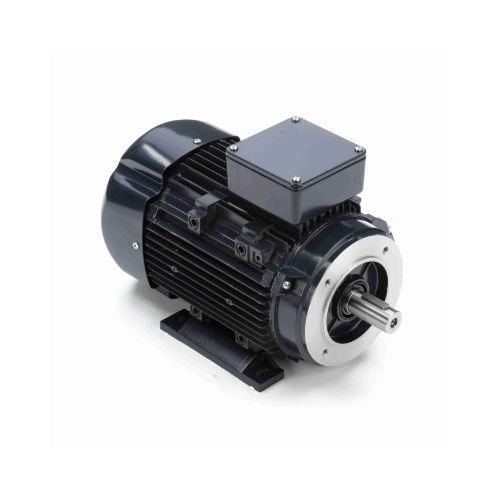 090LT17FH6419_IEC General Purpose Motor 1