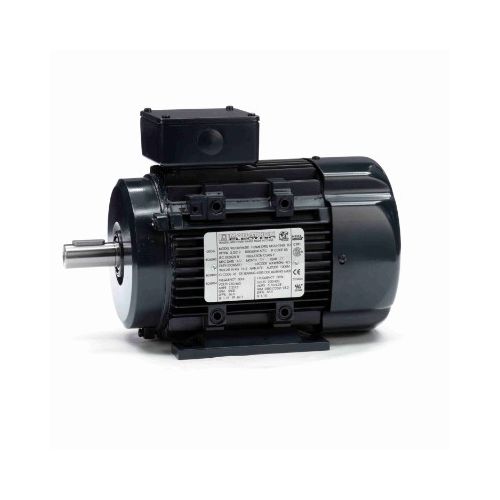 090LT34FH6301_IEC General Purpose Motor 1