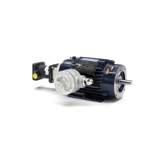 145THEN8034_Inverter_Duty_Variable_Speed_Motor 1