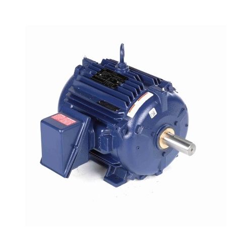 254TTTNA16580AA_Mill & Chemical Severe Duty Motor 1