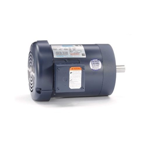 C143T11FC1H_Leeson General Purpose Three Phase Enclosed (TEFC) 1