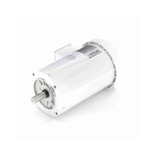 C145T17WC131A_White Epoxy General Purpose Washdown Motor 1