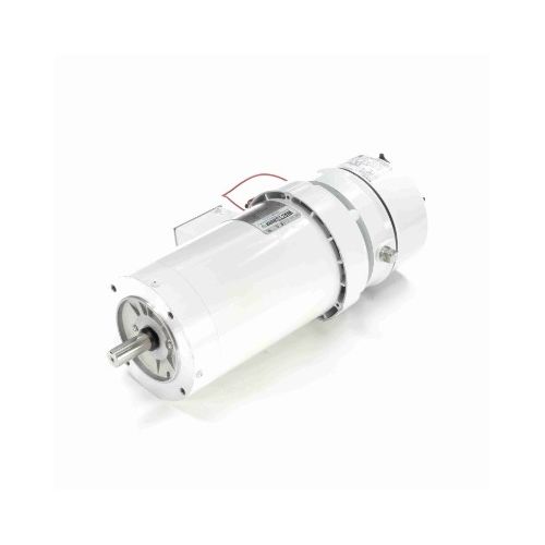 C145T17WC45A_White Epoxy Brake Washdown Motor 1