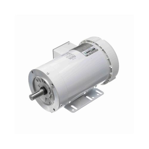 C145T17WK30A_White Epoxy General Purpose Washdown Motor 1