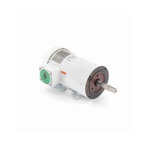C145T17WK65A_White Epoxy (575 Volt) Washdown Motor