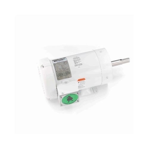 C145T34WK39A_White Epoxy Jm Pump Washdown Motor 1
