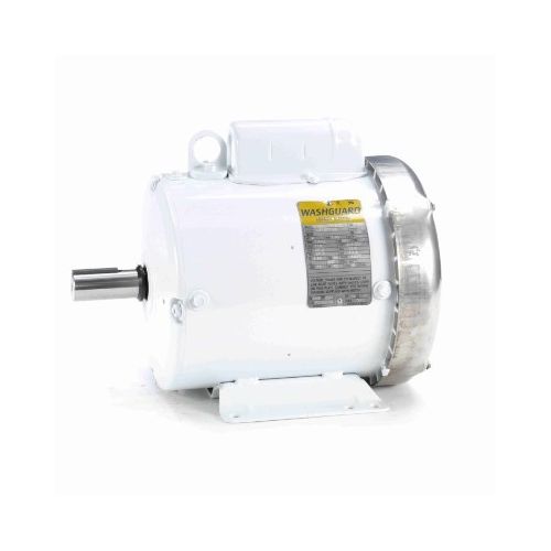 C182C17WB3D_White Epoxy General Purpose Washdown Motor 1