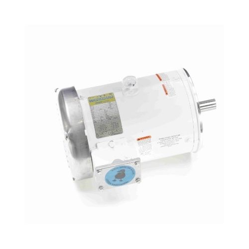 C184T17WC10A_White Epoxy General Purpose Washdown Motor 1