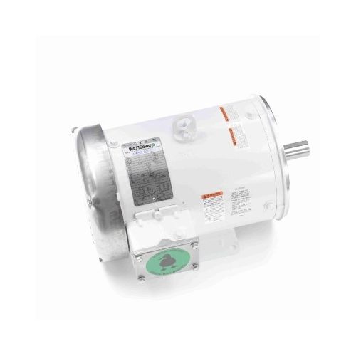 C184T17WK15A_White Epoxy General Purpose Washdown Motor 1