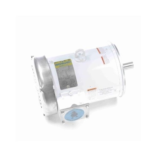 C184T34WC10A_White Epoxy General Purpose Washdown Motor 1