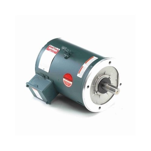C213T17DC5E_Leeson General Purpose Three Phase (ODP) 1