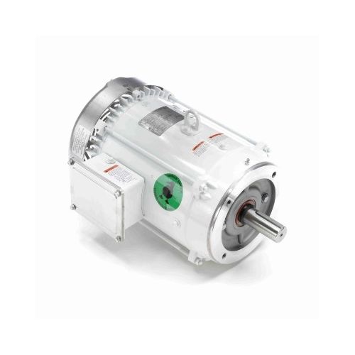 C213T17WC5A_White Epoxy General Purpose Washdown Motor 1