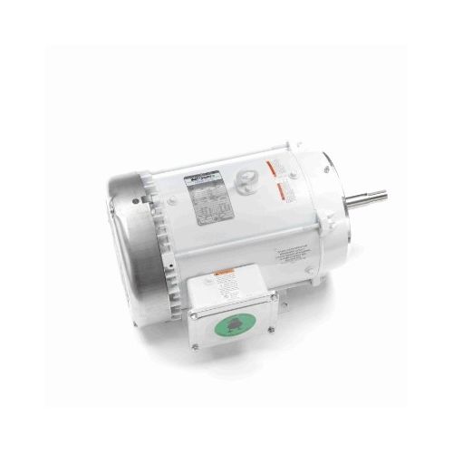 C213T17WK17A_White Epoxy Jm Pump Washdown Motor 1
