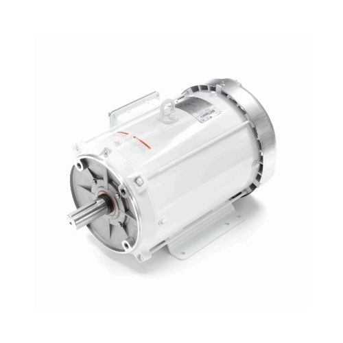 C213T17WK9A_White Epoxy General Purpose Washdown Motor 1