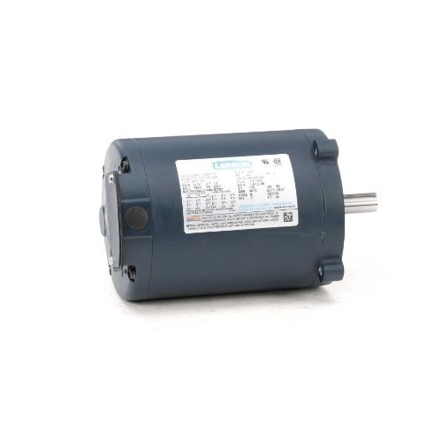 C4T17NC46A_Leeson General Purpose Three Phase (TENV) 1