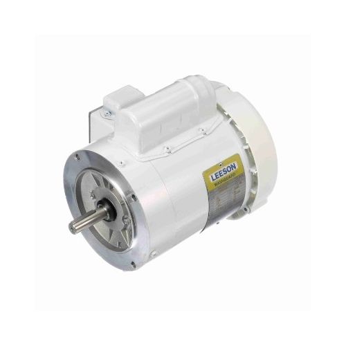 C6C17WC3G_White Epoxy General Purpose Washdown Motor 1
